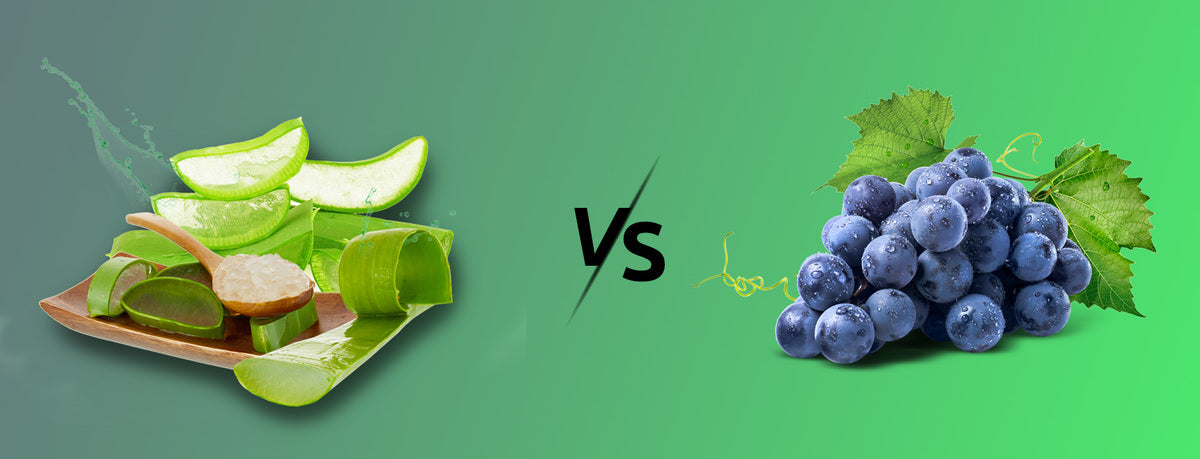 Aloe Vera vs Resveratrol