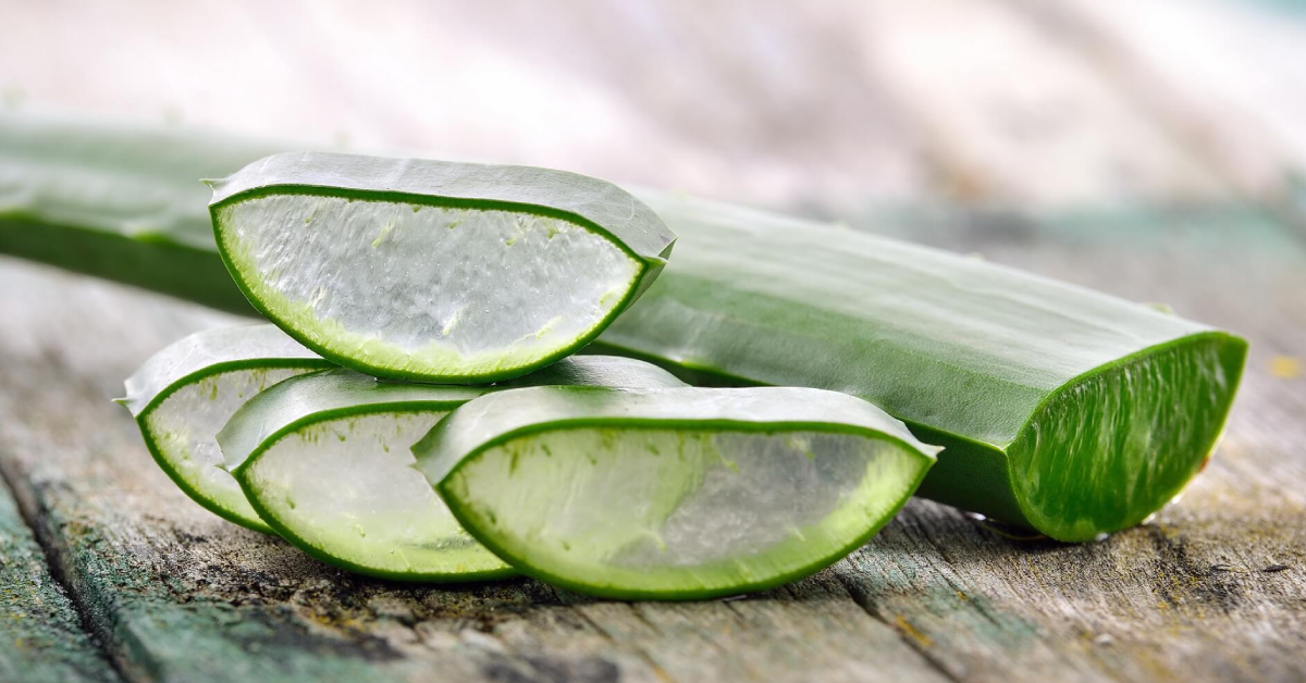 The Benefits of Eating Aloe Vera