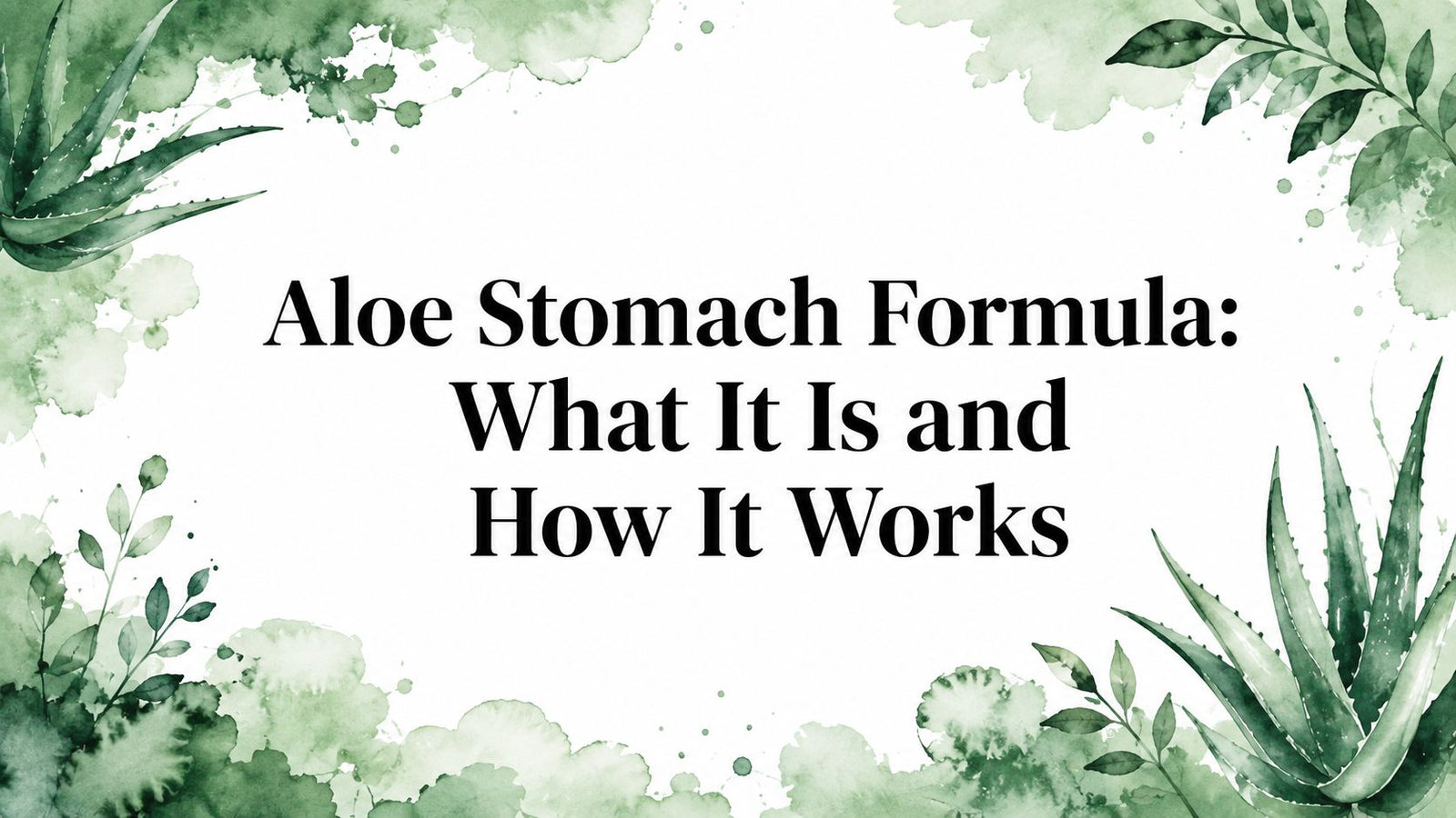 Aloe Stomach Formula: What It Is and How It Works
