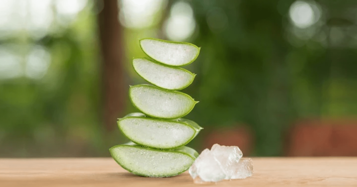 Aloe Vera: Introduction, Uses, Benefits, Side Effects and More - AloeCure