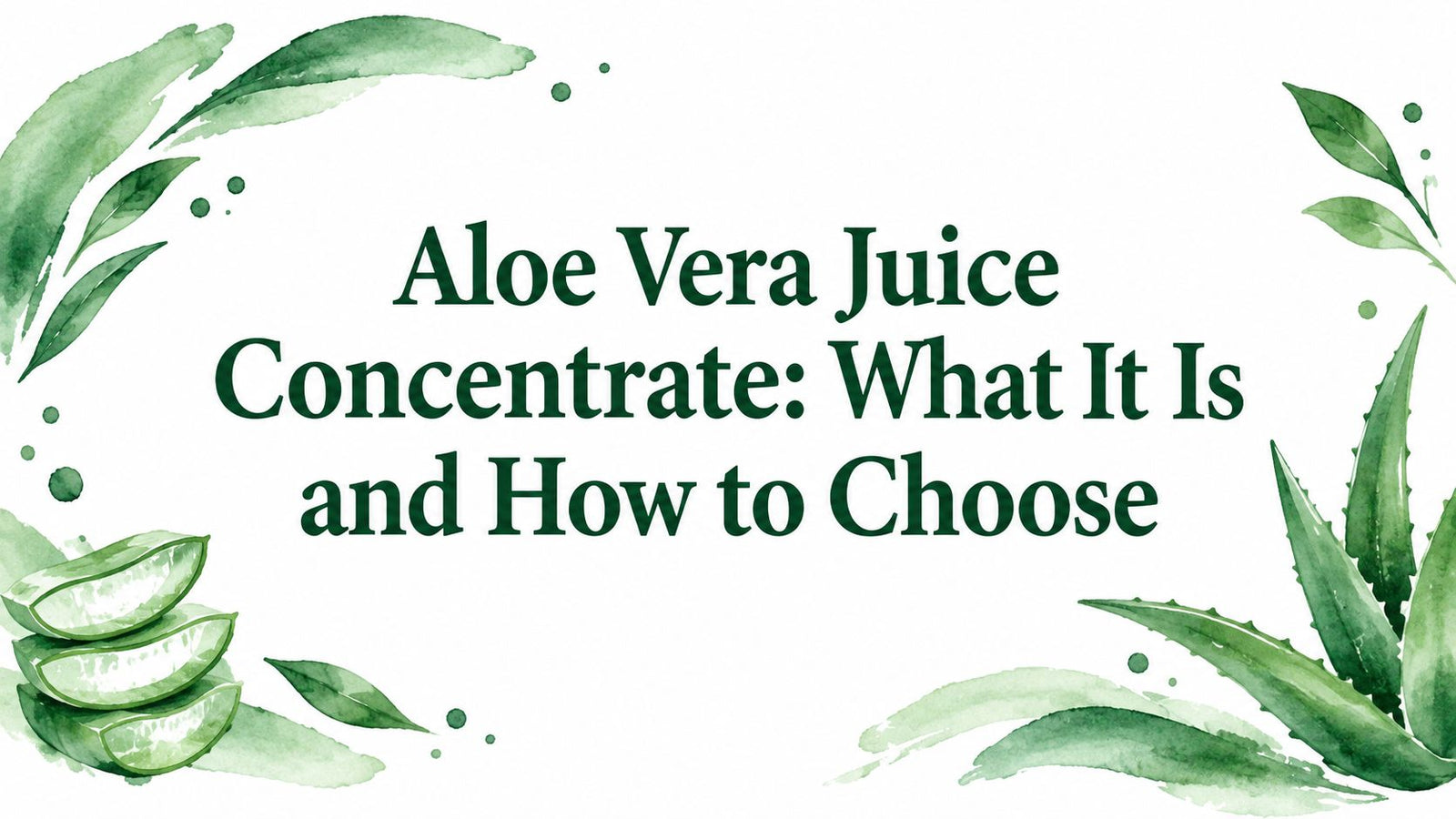 Aloe Vera Juice Concentrate: What It Is and How to Choose