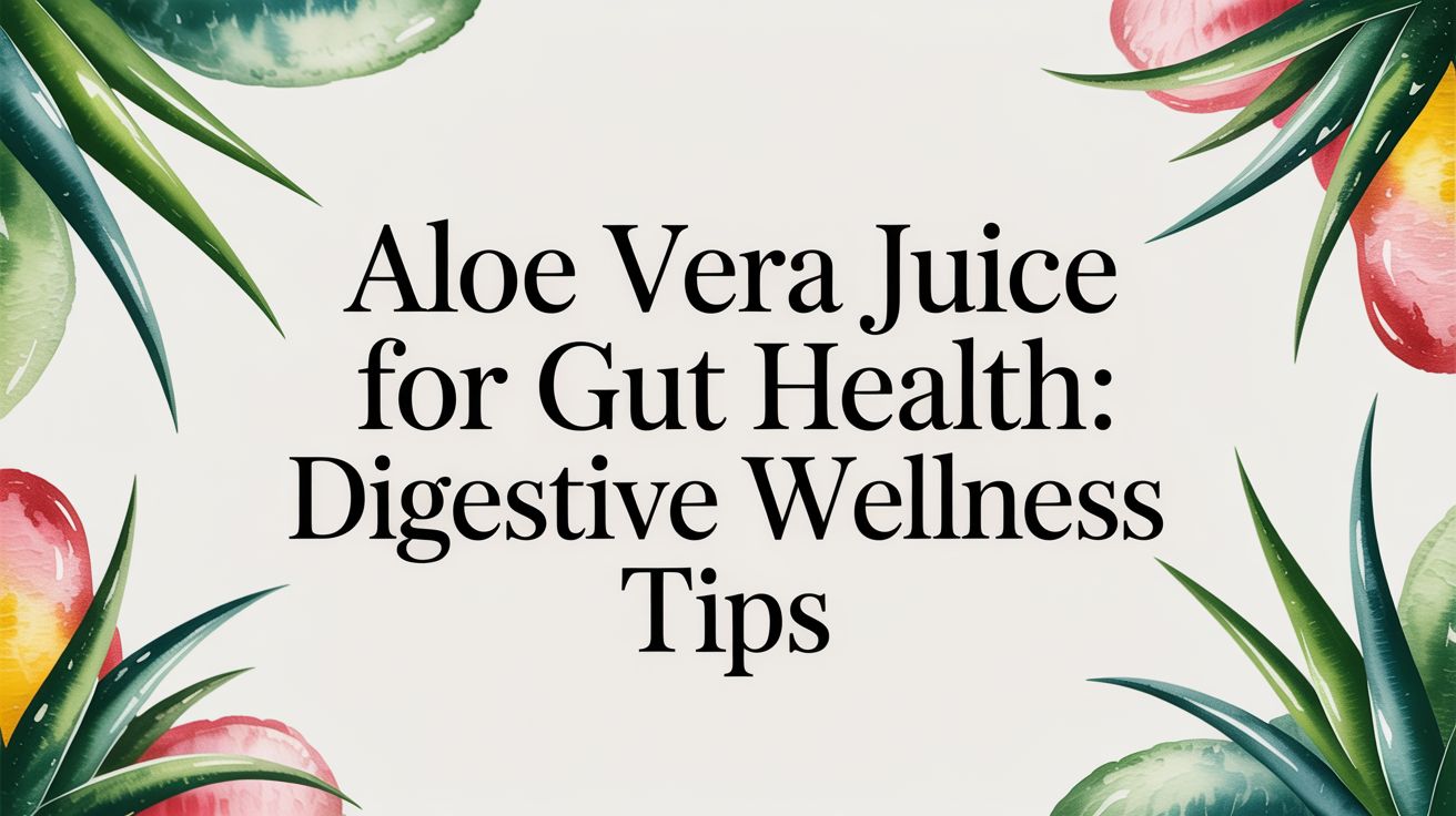 Aloe Vera Juice for Digestive Wellness: Your Daily Guide