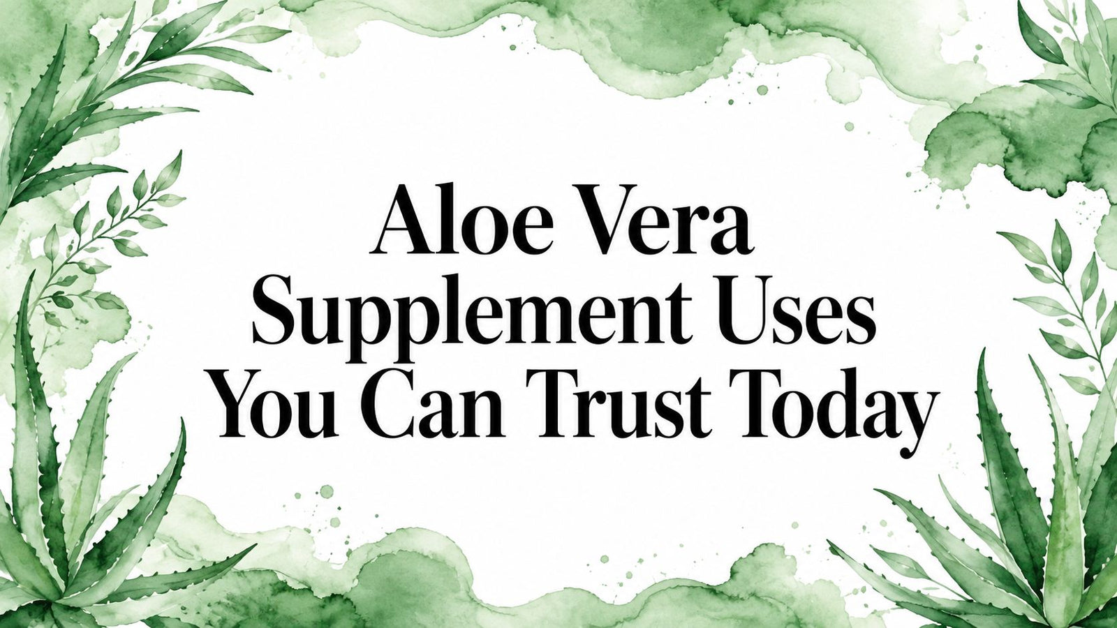 Aloe Vera Supplement Uses You Can Trust Today