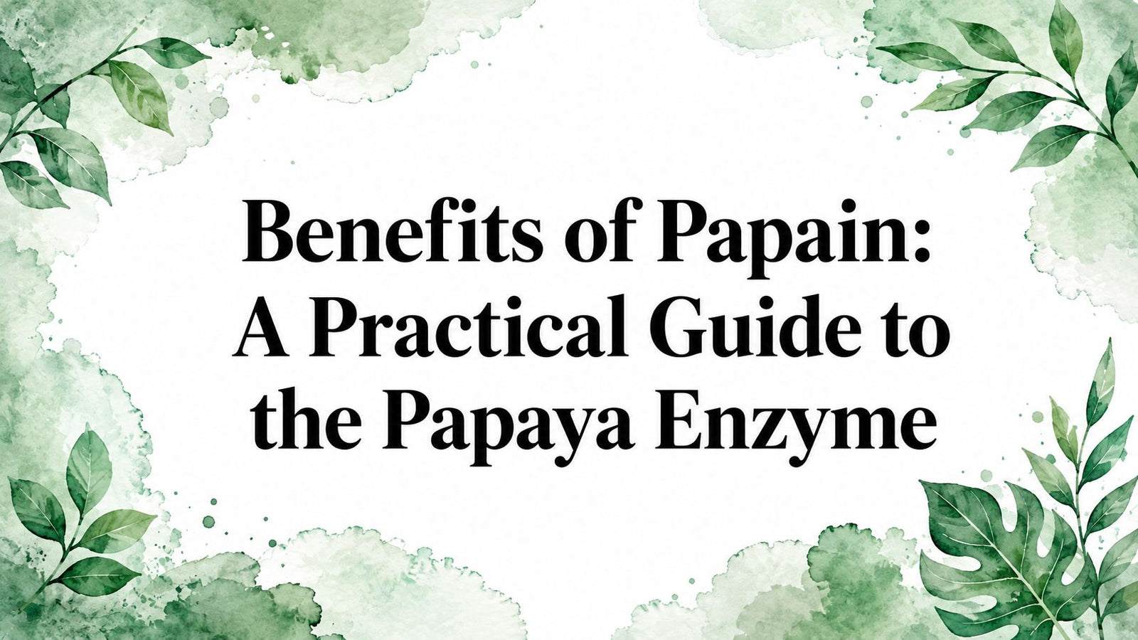 Benefits of Papain: A Practical Guide to the Papaya Enzyme