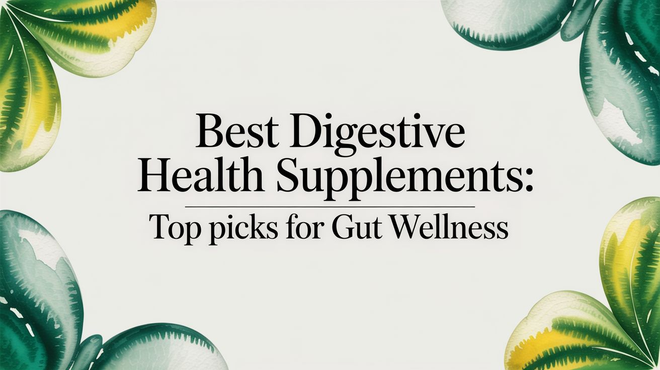 Best Digestive Health Supplements: Top Picks for Gut Wellness
