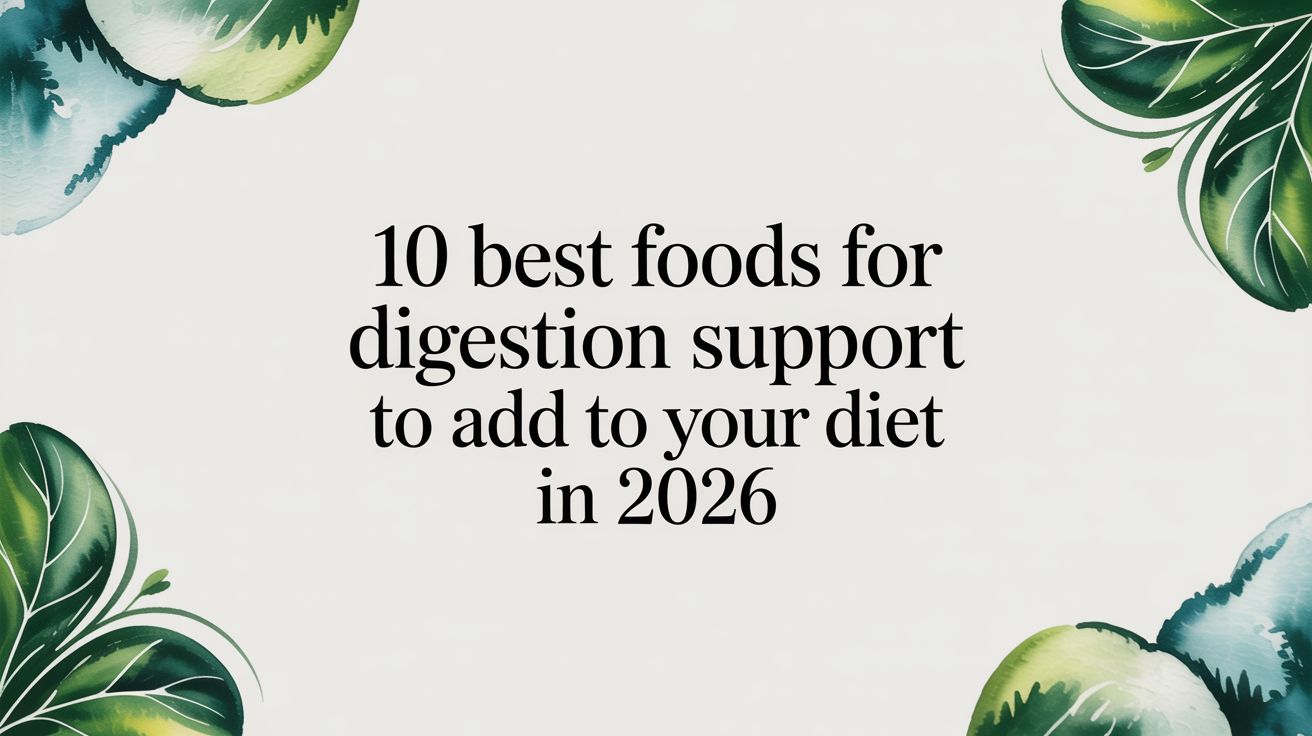 10 Best Foods for Digestion Support to Add to Your Diet in 2026