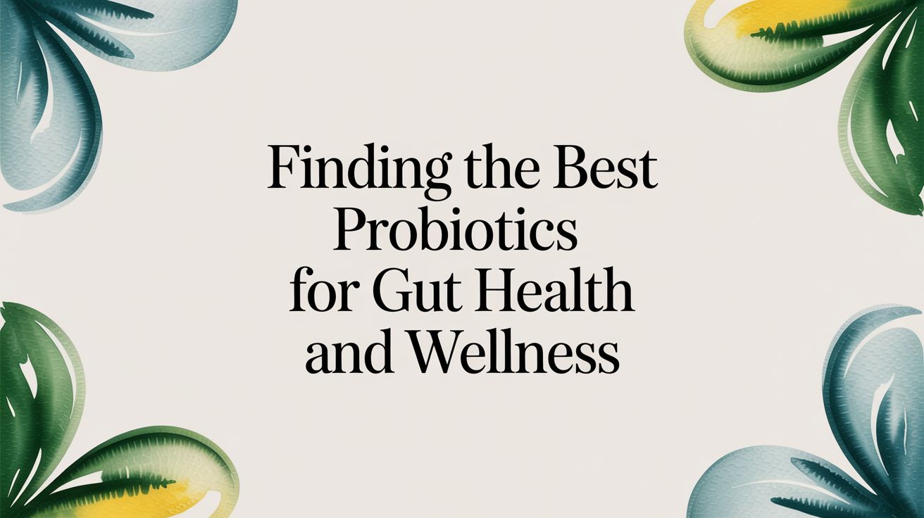 Finding the Best Probiotics for Gut Support and Wellness