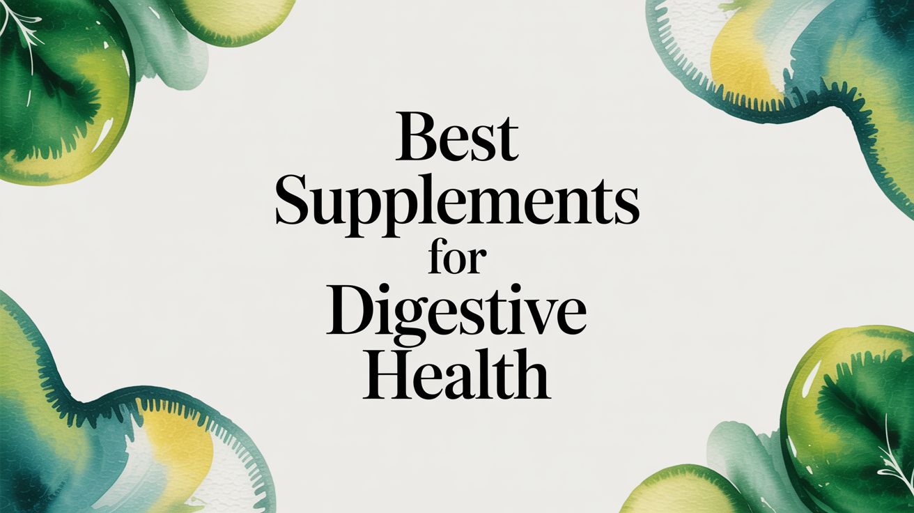 A Guide to Supplements for Digestive Health