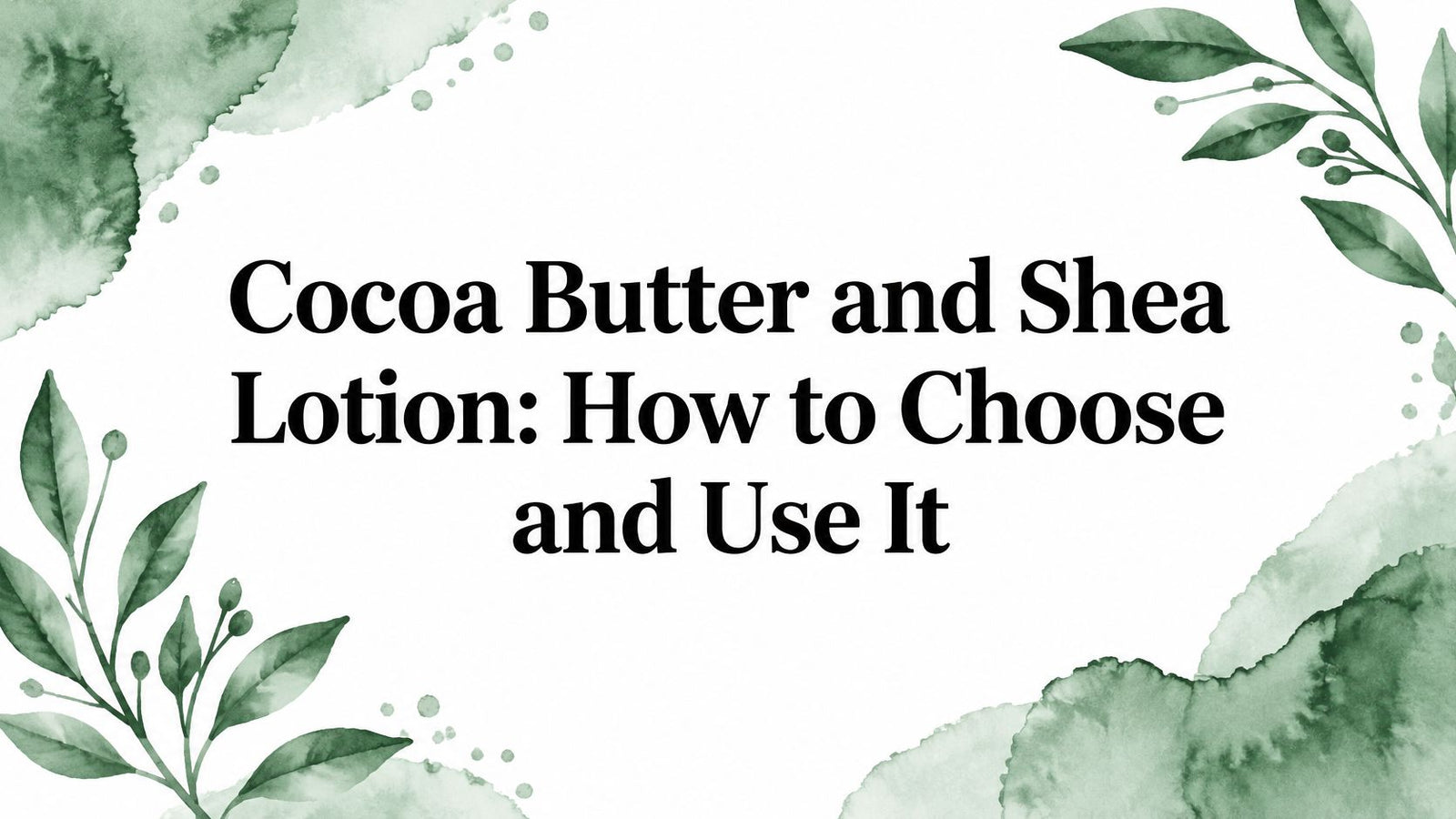Cocoa Butter and Shea Lotion: How to Choose and Use It