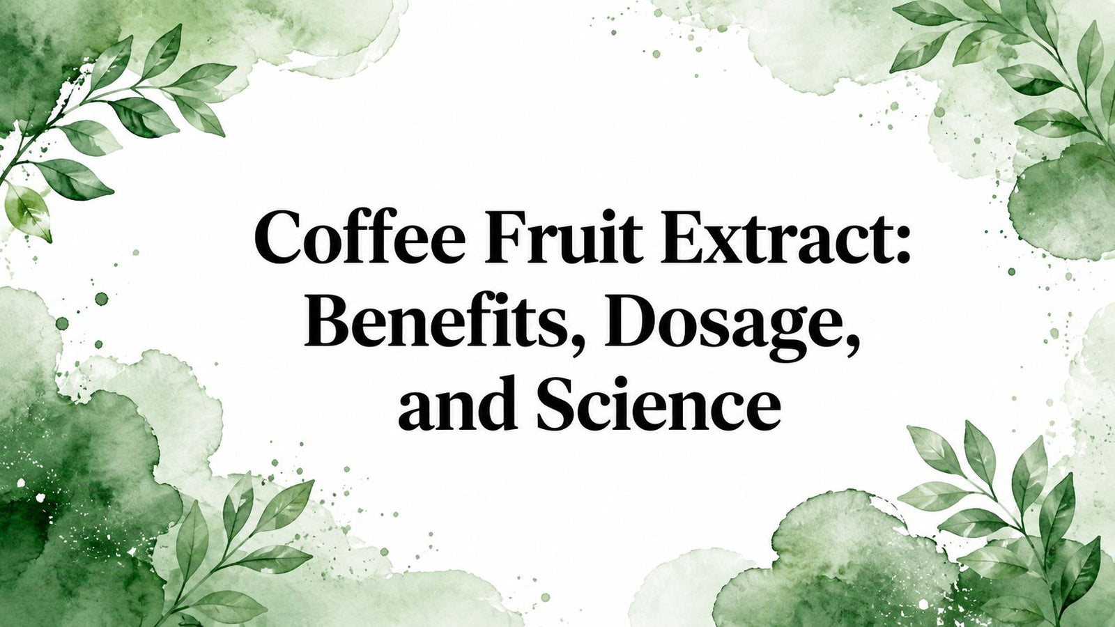 Coffee Fruit Extract: Benefits, Dosage, and Science