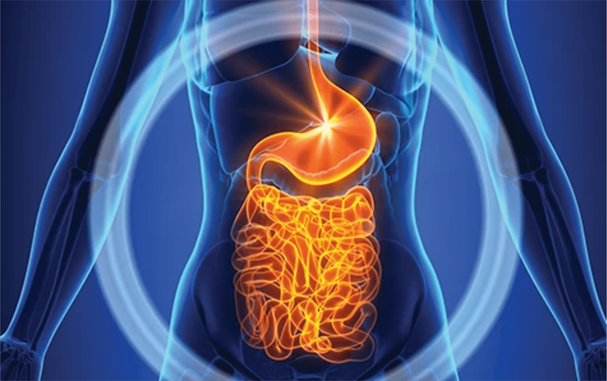 Digestive Health: 5 Foods to Stay Away From - AloeCure