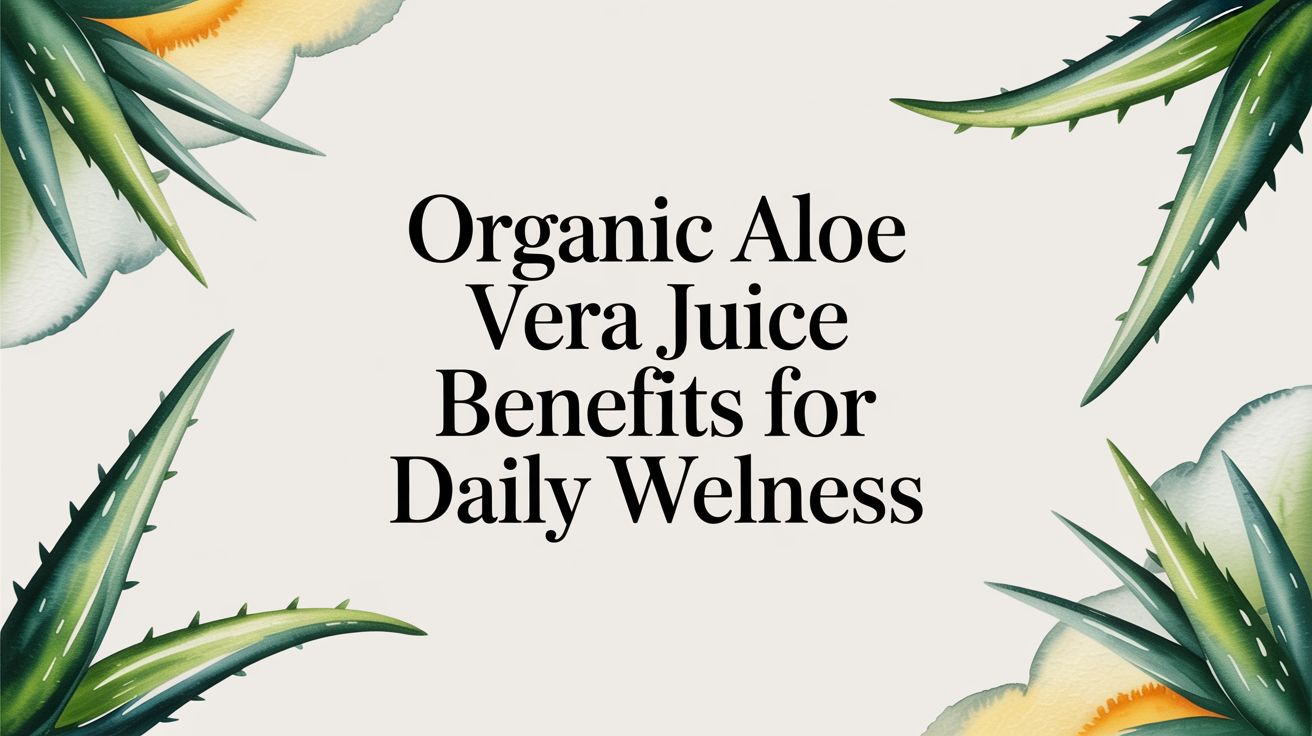 The Real Benefits of Organic Aloe Vera Juice for Daily Wellness
