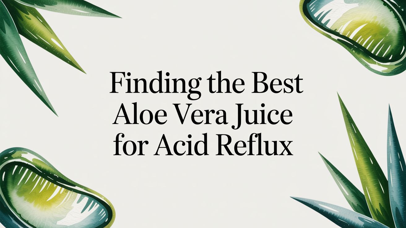 Finding the Best Aloe Vera Juice to Support Digestive Health