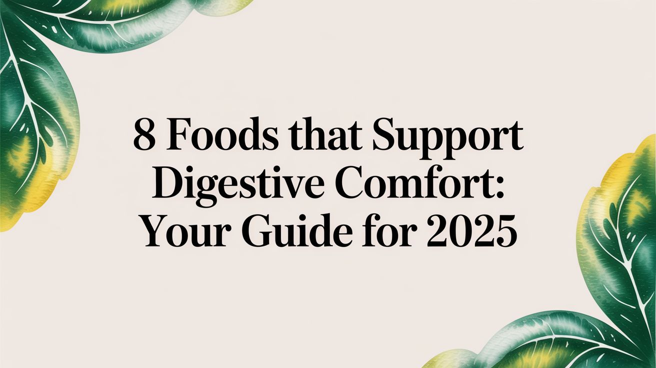 8 Foods That Support Digestive Comfort: Your Guide for 2025