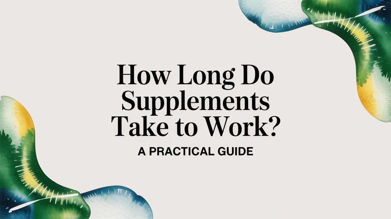 How Long Do Supplements Take to Work? A Practical Guide