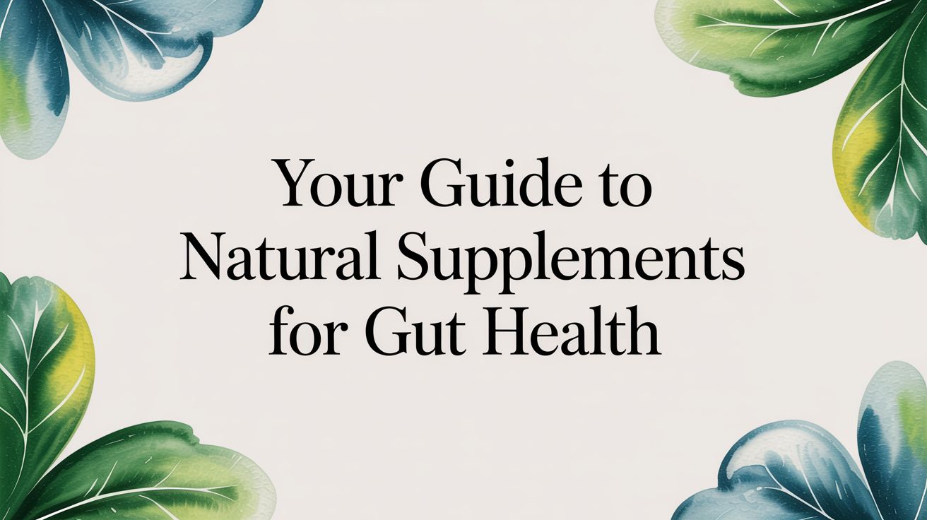 Your Guide to Natural Supplements for Gut Support