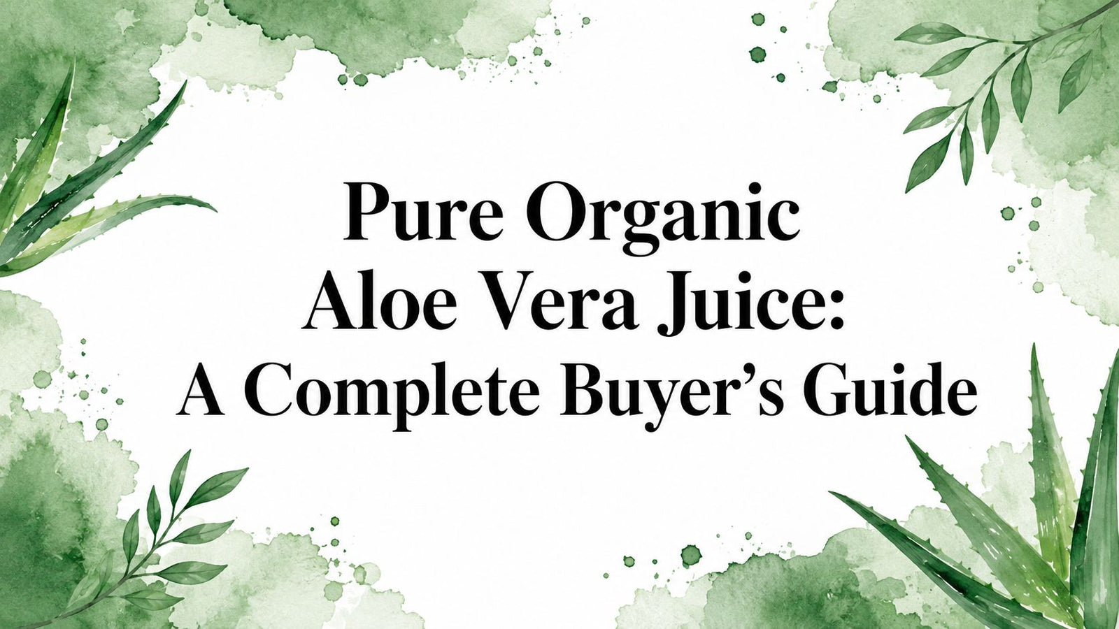 Pure Organic Aloe Vera Juice: A Complete Buyer's Guide
