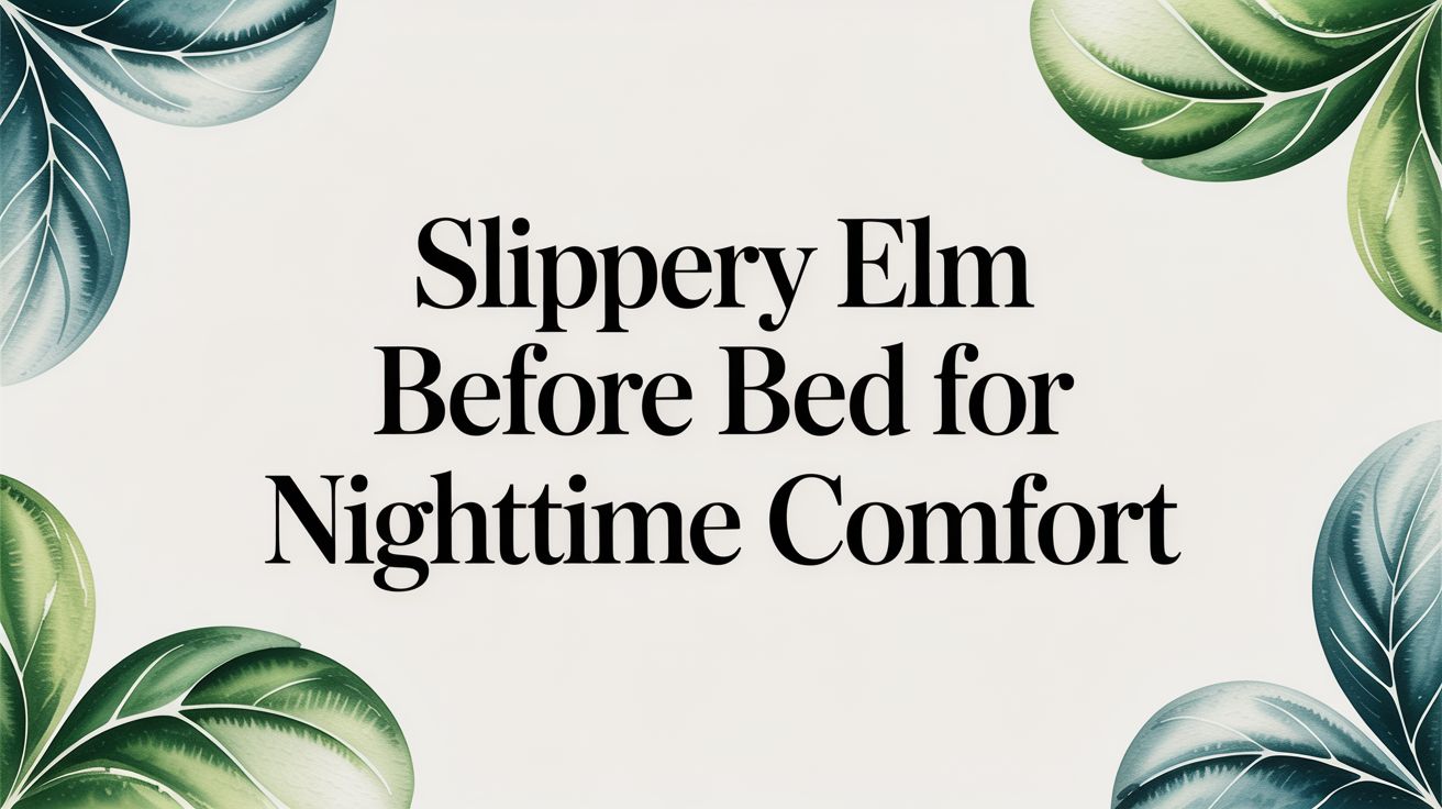 Slippery Elm Before Bed for Nighttime Comfort