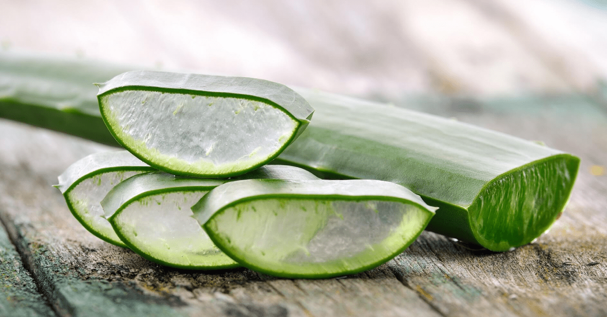 The Benefits of Eating Aloe Vera - AloeCure