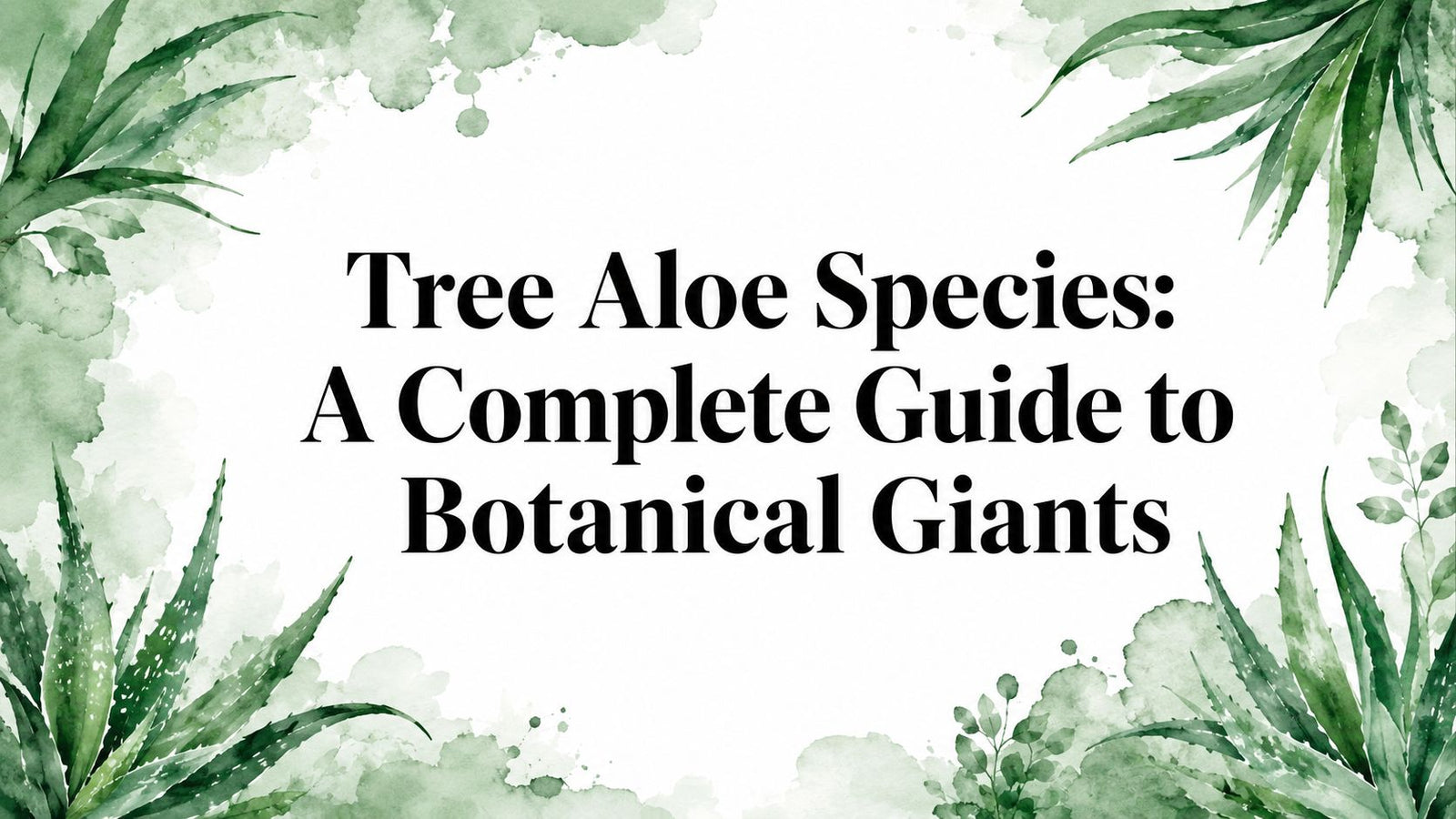 Tree Aloe Species: A Complete Guide to Botanical Giants