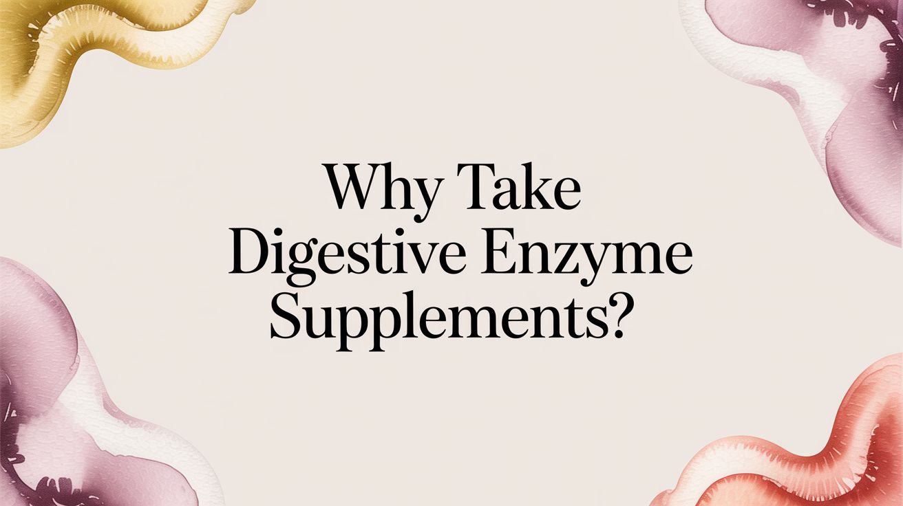 Why Take Digestive Enzyme Supplements?