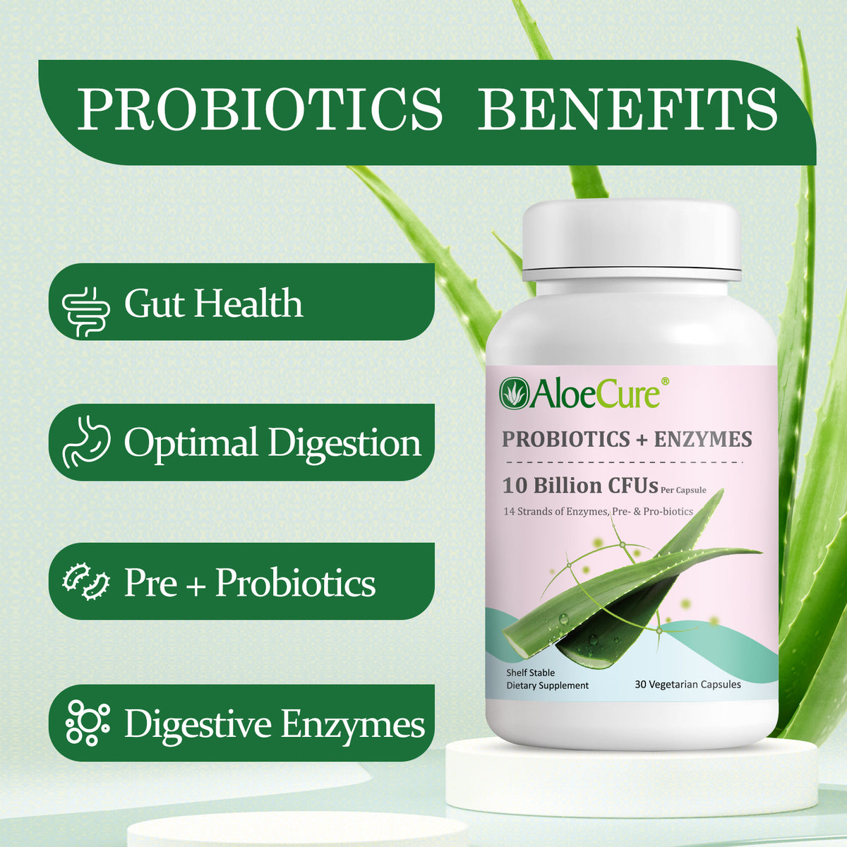 Pre+Probiotic &amp; Digestive Enzyme Blend