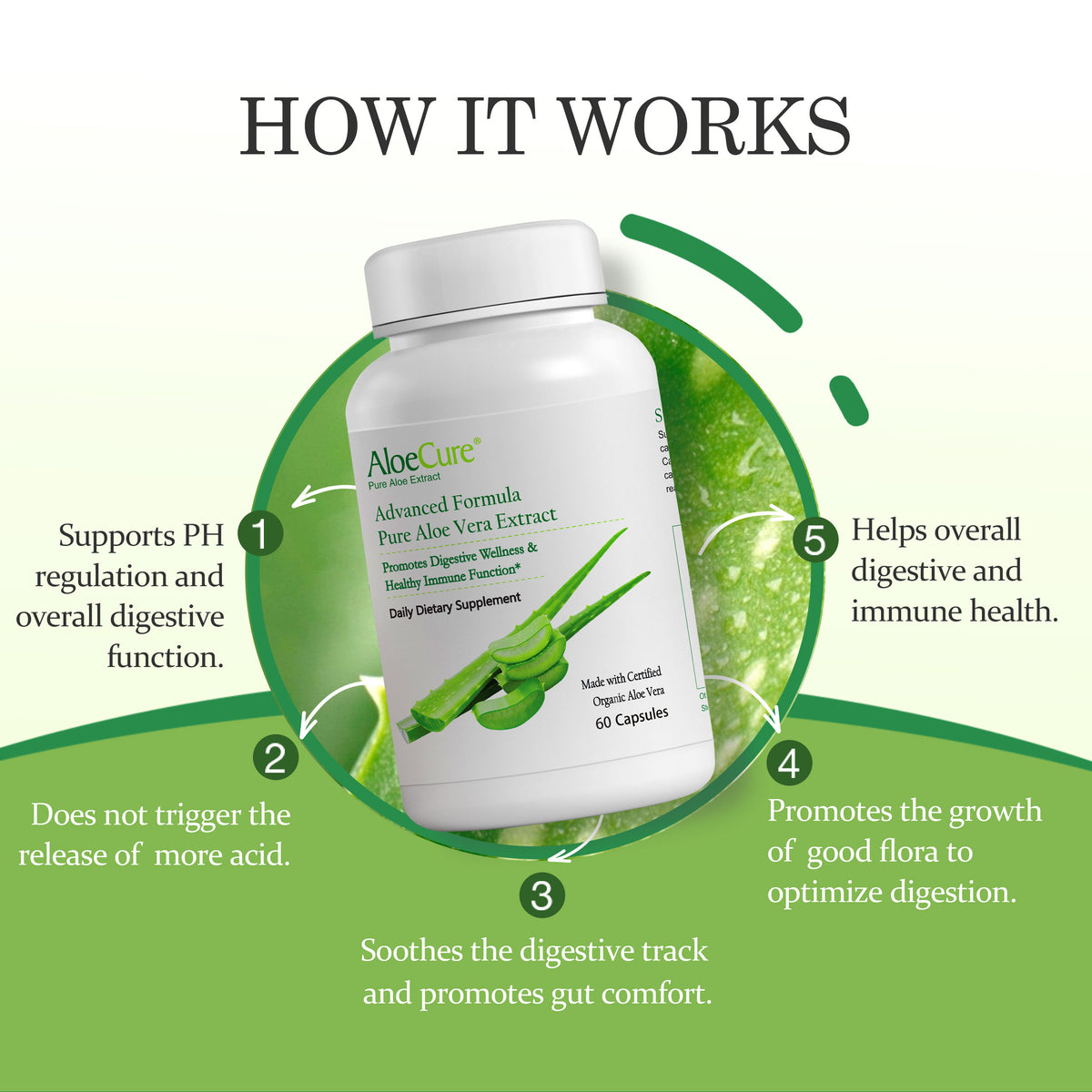 AloeCure Advanced Formula Aloe Capsules