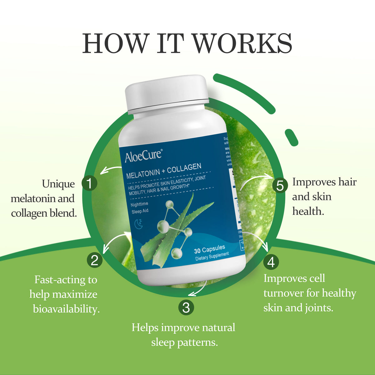 Melatonin + Collagen Sleep Support