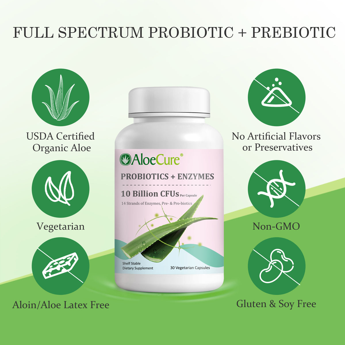 Pre+Probiotic &amp; Digestive Enzyme Blend