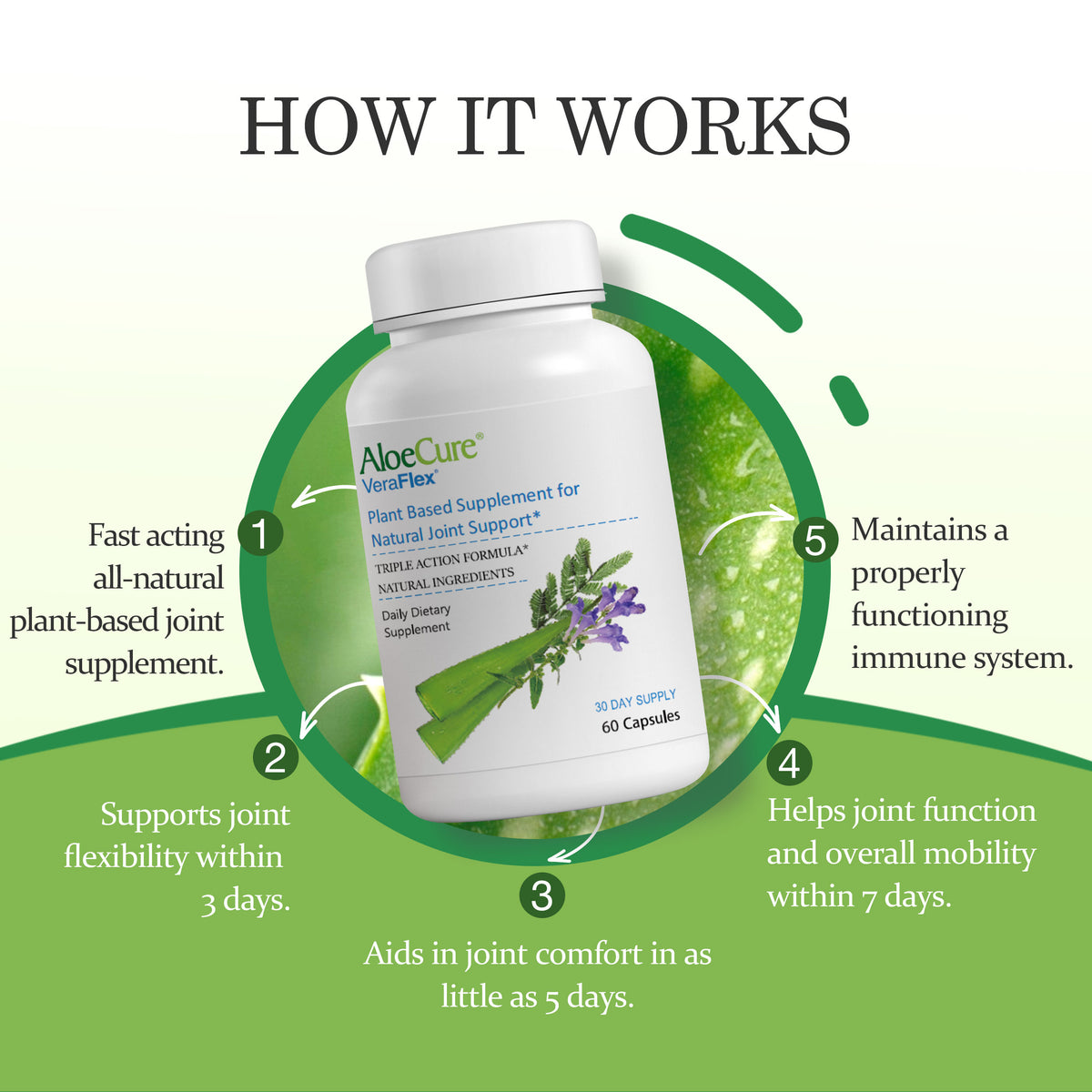 VeraFlex Healthy Joint Support