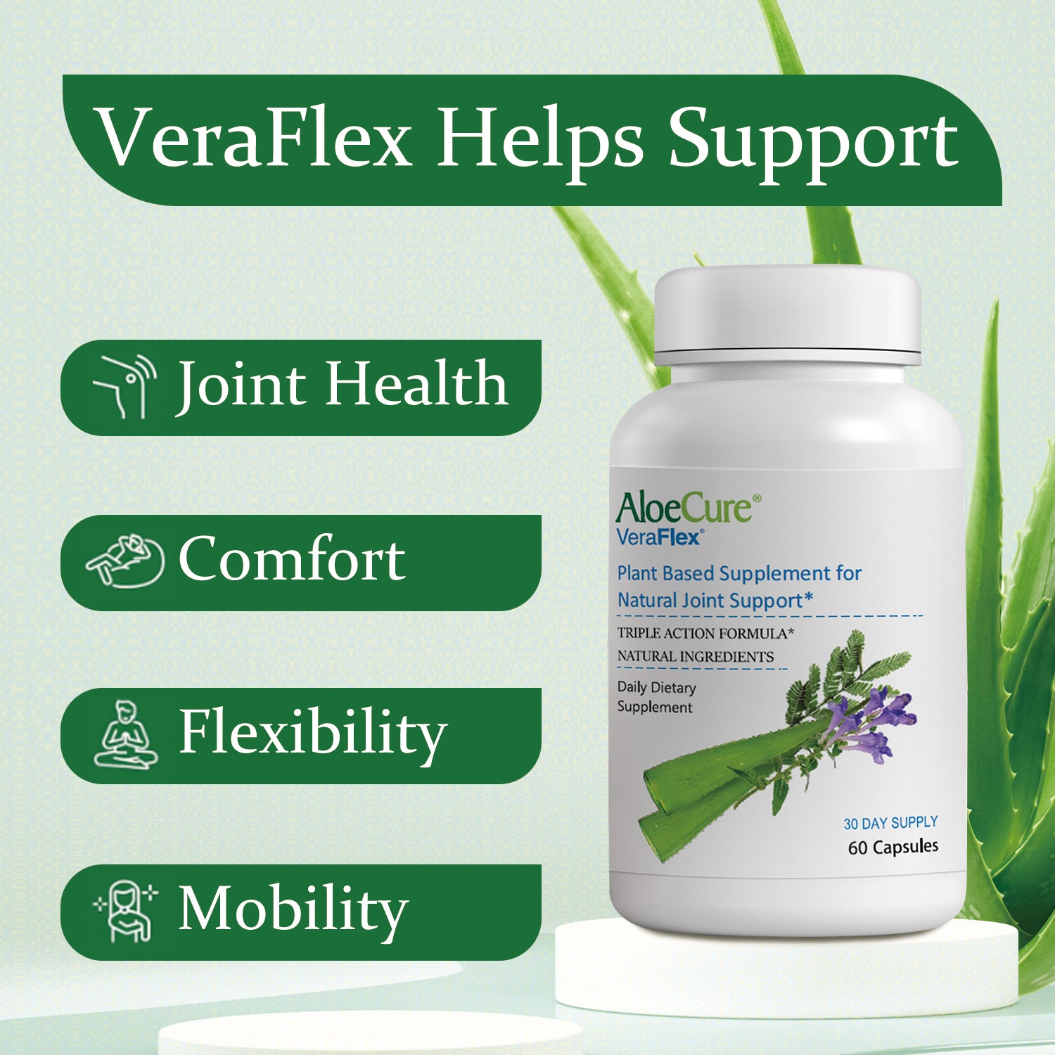 VeraFlex Healthy Joint Support - AloeCure